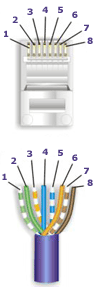 cat5_568a