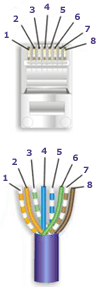 cat5_568b